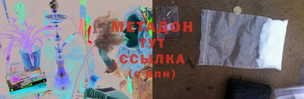 шишки Абаза