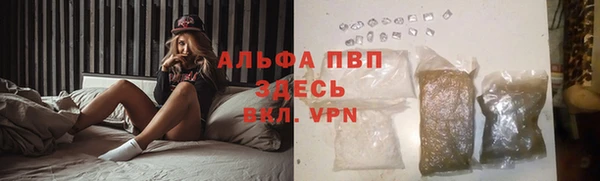 шишки Абаза