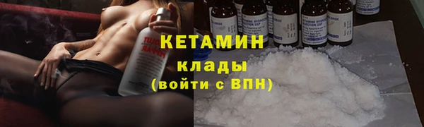 шишки Абаза