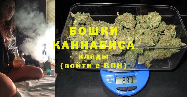 шишки Абаза