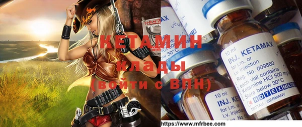 шишки Абаза