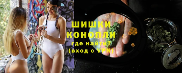 шишки Абаза
