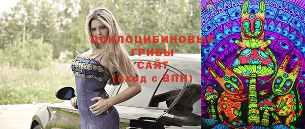 шишки Абаза